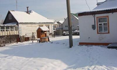 г. Новомосковск, Чапаева ул., 10