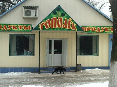 м. Костянтинівка, Калініна вул., 7