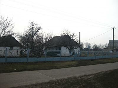 Васильковский район, с. Винницкие Ставы, Мичурина ул., 12