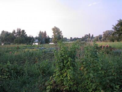 Вышгородский район, с. Глебовка, Ленина ул., 35