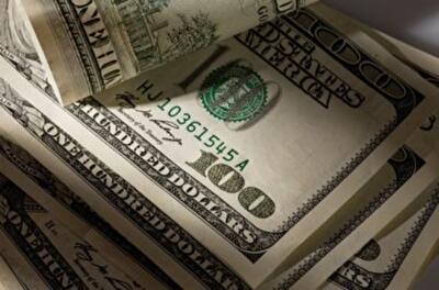 В долгах как в шелках: сколько и для чего Украина набрала кредитов