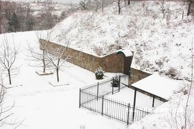 Києво-Святошинський район, с. Лісники, Генерала Ватутіна пров., 14