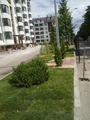 Киево-Святошинский район, с. Софиевская Борщаговка, Софиевская ул., 17/68