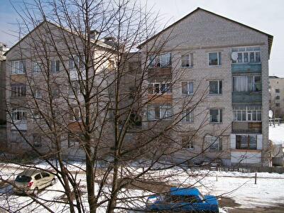 Киево-Святошинский район, с. Софиевская Борщаговка, Школьная ул., 3