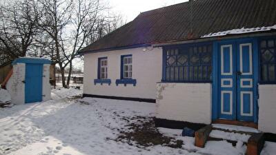 Фастівський район, с. Триліси, Шевченко вул., 4