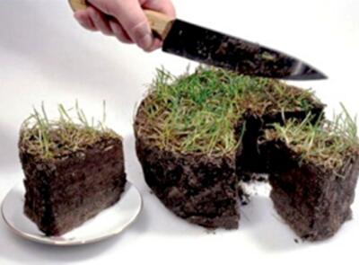 В Украине начнется глобальная распродажа земли