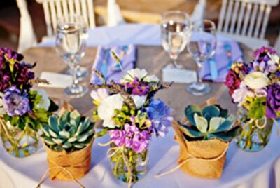 10 причин, почему вам срочно нужны суккуленты