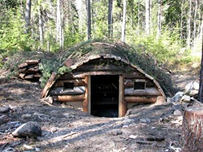 Чем выгодно и во сколько обойдется экологичное жилище