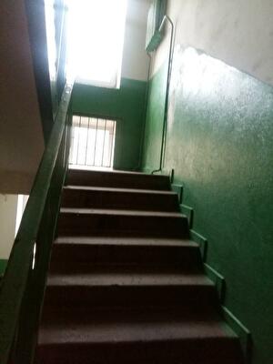 Киево-Святошинский район, пгт Чабаны, Одесское шоссе, 1