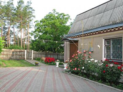 Городищенский район, г. Городище, Мира ул., 81