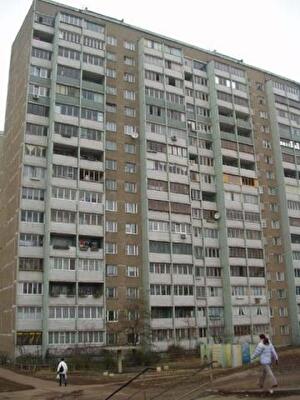 Владимира Маяковского просп., 17А