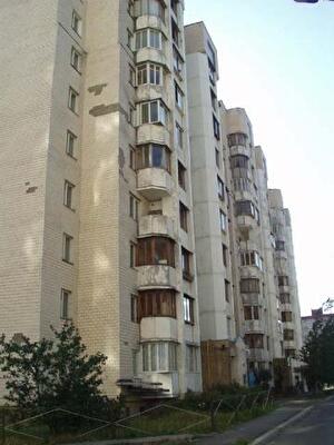 Владимира Маяковского просп., 95Б