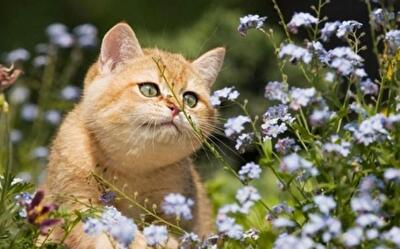 Какую погоду ждать украинцам на этой неделе