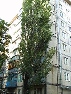 Данила Щербаковского ул., 31А