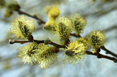 Резкое похолодание и дожди: синоптики рассказали, какую ждать погоду