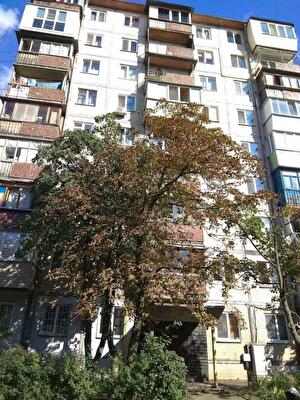 Данила Щербаковского ул., 55