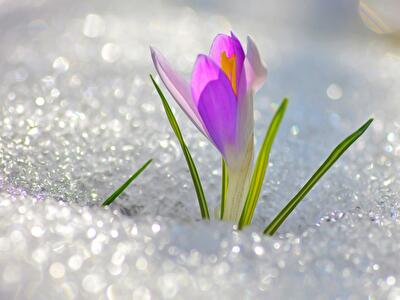 Весна-2016: прогноз погоды на сезон