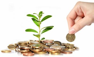 Какие налоги в 2016 году заплатят аграрии