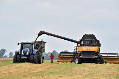 Украина в 2015 году понесла продовольственные потери: причины и последствия