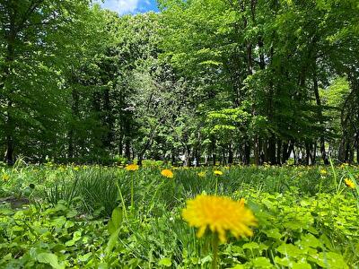 ЖК Silver House, Будинок 1