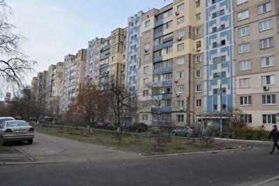 Владимира Маяковского просп., 20