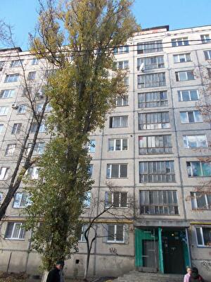 Леся Курбаса просп., 9