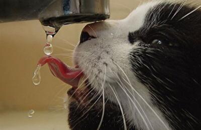 Тарифи на воду у Києві у грудні