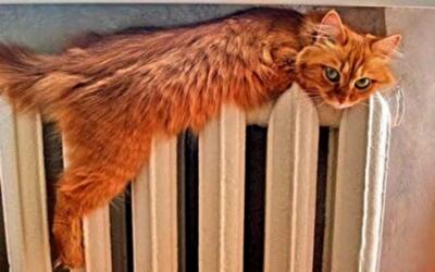 Централізоване опалення: навіщо платити більше