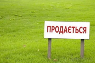 Когда разрешат продавать украинскую землю