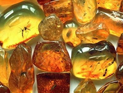 10 самых прибыльных нелегальных видов бизнеса Украины (инфографика)