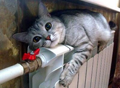 Минсоцполитики: украинцам стоит поторопиться за субсидиями