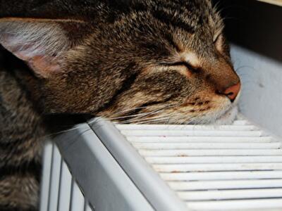 Когда во всех домах Киева появится тепло