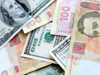 Законопроект о конвертации валютных кредитов со списанием 25-50% долга