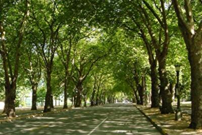  Список адресов где в Киеве появятся новые скверы