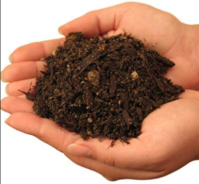 Як зміняться  в Україні правила реєстрації права оренди на землю