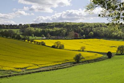В Кабміні розповіли, як в Україні спростять процедуру оформлення землі