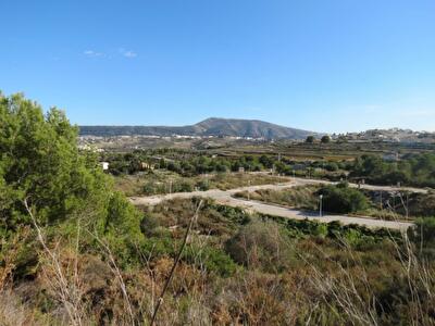 Трудности при получении бесплатной земли от государства