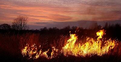 Увага! У столиці виникла імовірність розповсюдження продуктів горіння пожежі у Київській області