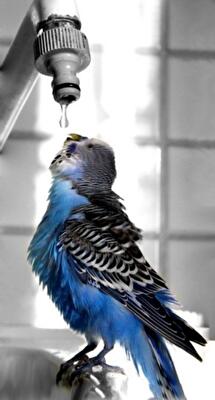 Кто в Киеве остался без горячей воды 21 августа