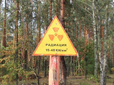 Новый пожар в Чернобыльской зоне: как изменился радиационный фон