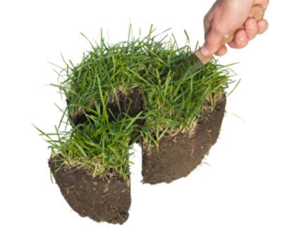 Кто в Одессе не будет платить налог на недвижимость