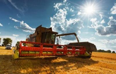 Кто и как будет наводить порядок в сфере использования государственных земель в Украине