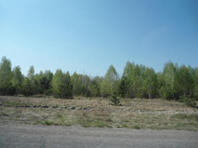 Макарівський район, с. Мотижин, Лесная ул.