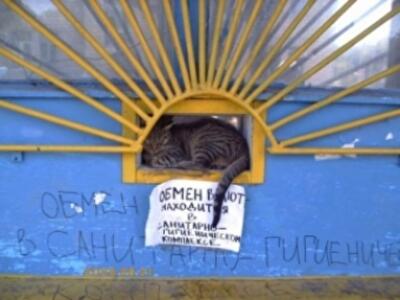 Какую судьбу уготовил Нацбанк небанковским обменникам