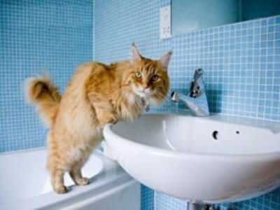 Кому в Киеве сегодня придется греть воду