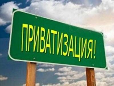 Под глобальную приватизацию поменяют правила