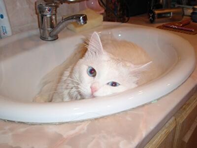 Где в Харькове не будет воды 6 июля