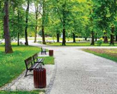 Культурная революция: как столичные активисты борются за чистоту