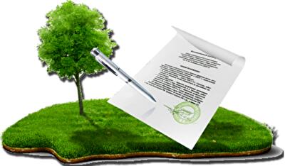 Как гражданка России захватила участок земли под Киевом