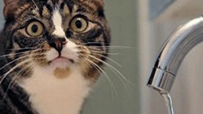 Кому в Харькове нужно запастись водой 26 июня